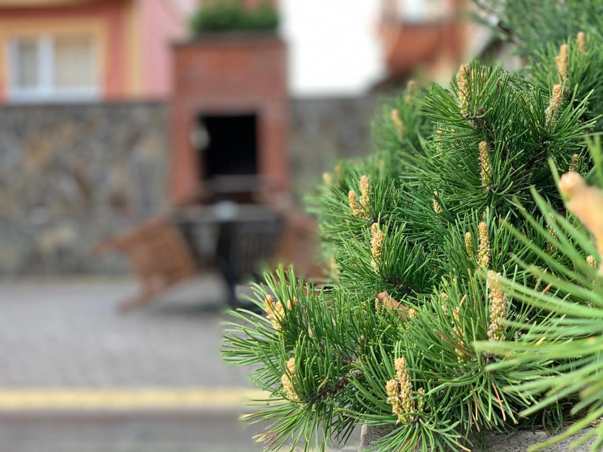 Mini Hotel Solnce Karpat Poljana Exteriör bild